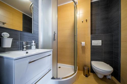 a bathroom with a toilet and a sink and a shower at VERTUS in Jastrzębia Góra