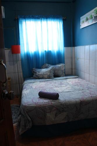 1 dormitorio con 1 cama con pared azul y ventana en Caribbean Tourist Villa, en Puerto España