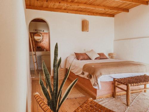 una camera con letto e pianta in vaso di Dreamsea Imsouane Morocco a Imsouane