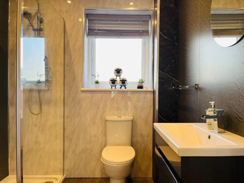 a bathroom with a toilet and a sink and a shower at Thistle Cottage in Fort William