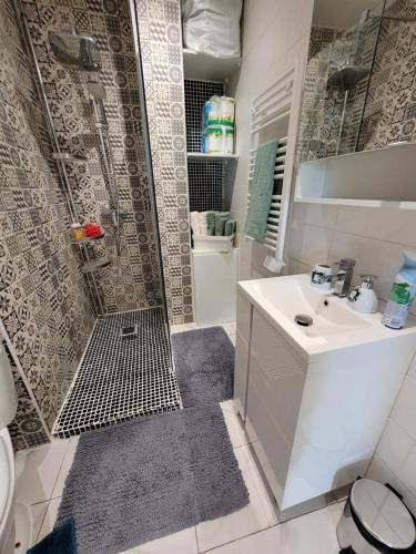 une salle de bain avec douche et lavabo dans l'établissement 2 pièces promenade des anglais, à Nice