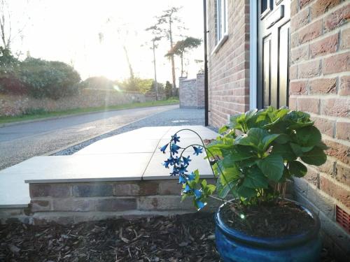 a plant in a blue pot next to a building at Bluebells, Little Snoring in Fakenham