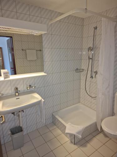 ein Bad mit einem Waschbecken, einer Dusche und einem WC in der Unterkunft Hotel Alpha Thun in Thun