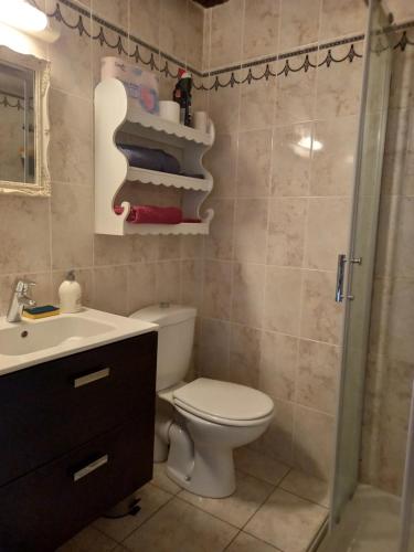a bathroom with a toilet and a sink and a shower at Maison studio village médiéval in Mont-Saint-Jean