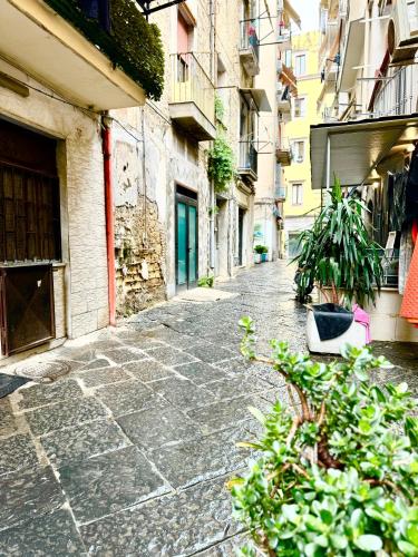 VESUVIUS HOUSE