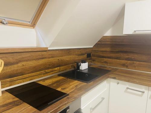 a kitchen with a sink and wooden walls at Jenys Apartment Usti 2 in Ústí nad Labem