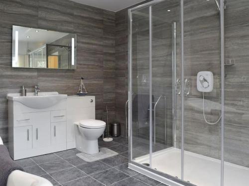 a bathroom with a shower and a toilet and a sink at Green Haven Pembrokeshire in Pembrokeshire