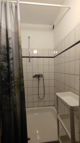 een badkamer met een douche en een bad bij Ostoja Mików in Mików