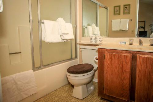 La salle de bains est pourvue de toilettes, d'une douche et d'un lavabo. dans l'établissement Boulder creek #1412, à Big Bear Lake