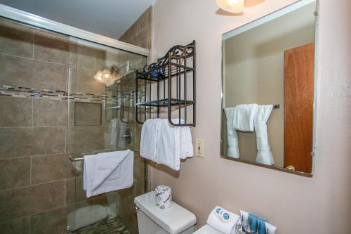 a bathroom with a shower and a toilet and a mirror at Avalon hide out #1336 in Big Bear Lake