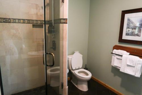 a bathroom with a toilet and a glass shower at Evergreen Lodge at Yosemite in Groveland