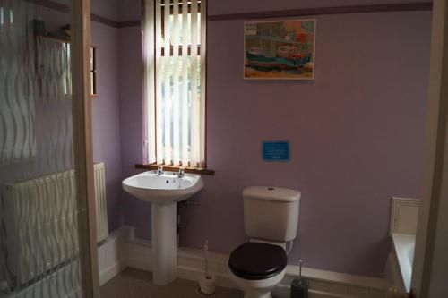 La salle de bains est pourvue de toilettes, d'un lavabo et d'une fenêtre. dans l'établissement Quirky Cottage with Private Garden Nr New Quay Cardigan Bay, à Llandysul