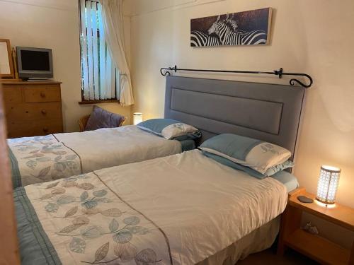 - une chambre avec 2 lits et une télévision dans l'établissement Quirky Cottage with Private Garden Nr New Quay Cardigan Bay, à Llandysul