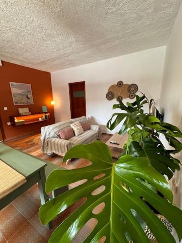 Cozy studio apartment 2 في كاليثيا رودس: غرفة معيشة مع أريكة ونبتة خضراء