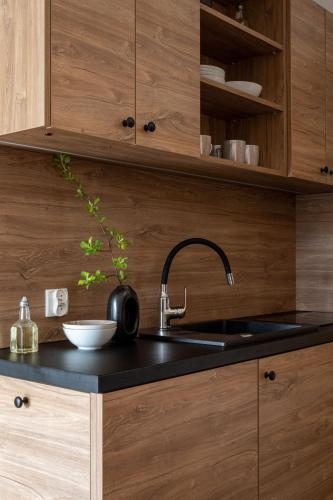 a kitchen with wooden cabinets and a sink at Hacienda Kościelisko - Kierpcówka 5 - Apartamenty z widokiem na Tatry & SPA in Kościelisko