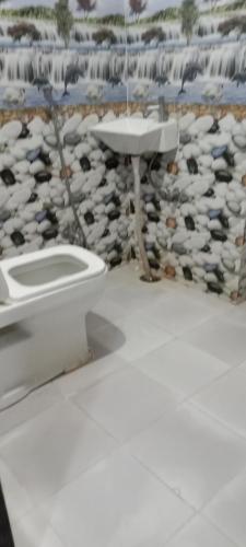 ナスドワーラにあるHotel Shri Bhanwardeepのトイレと洗面台付きのバスルーム