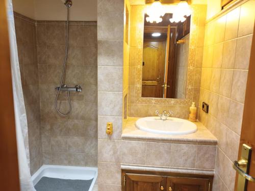 a bathroom with a sink and a shower at Apartament el niu in Camprodon
