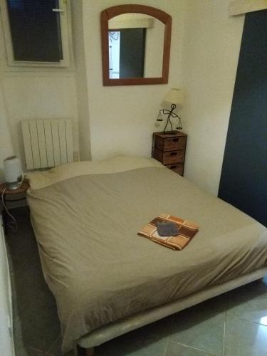 - une chambre avec un lit et un miroir dans l'établissement Appartement 2 pieces centre ville, à Salon-de-Provence