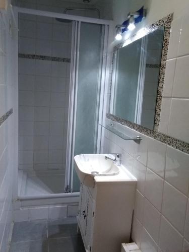 une salle de bain avec une douche et un lavabo et une douche dans l'établissement Appartement 2 pieces centre ville, à Salon-de-Provence