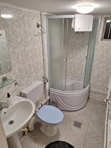 een badkamer met een douche, een toilet en een wastafel bij Parc Apart Vatra Dornei in Vatra Dornei