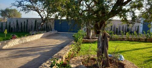 un albero in un cortile accanto a un edificio di Rachid villa a Essaouira