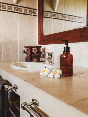 a bathroom sink with a bottle of soap and flowers at Harmonie in Rivière Noire