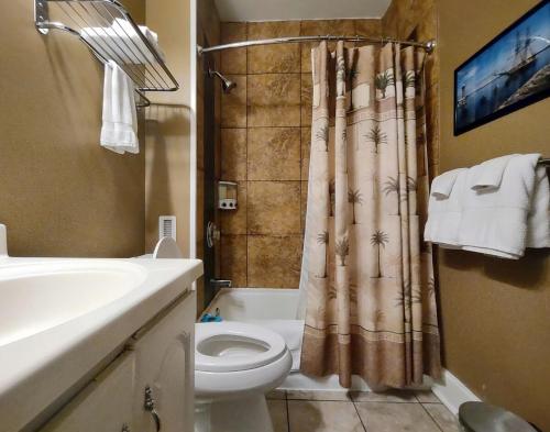 a bathroom with a toilet and a shower curtain at Spacious Frontier Park Apartment in Erie