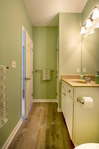 a bathroom with green walls and a sink and a mirror at Charming Lewes-Rehoboth Retreat, Pet Friendly in Lewes