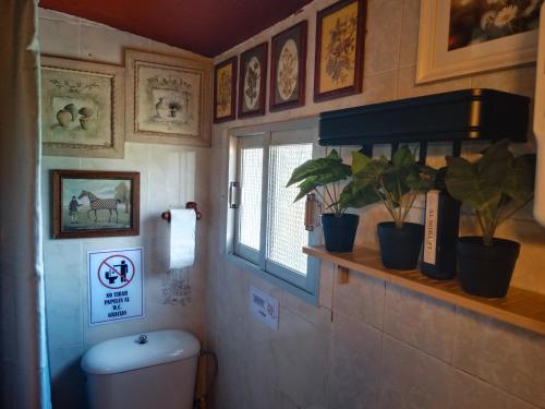 baño con aseo, ventana y plantas en Huerta Del Pasil (Casa Entera), en Córdoba