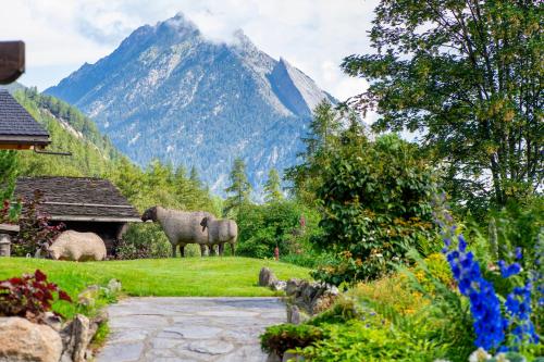 a group of sheep standing in a field with a mountain at Chalet Cinq Moutons in Orsières