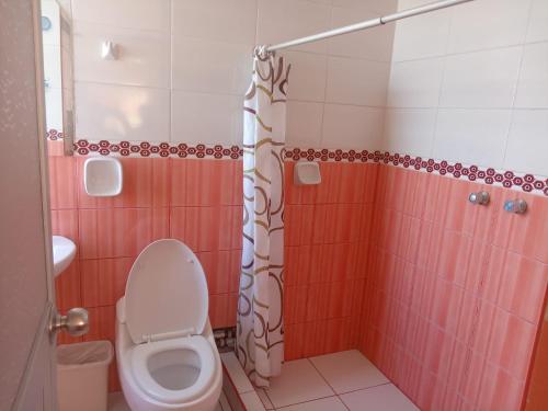 a bathroom with a toilet and a shower at INKA'S DREAMS HOUSE in Puno
