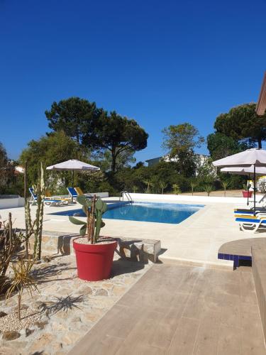 Bazén v ubytování Sondela Self Catering nebo v jeho okolí