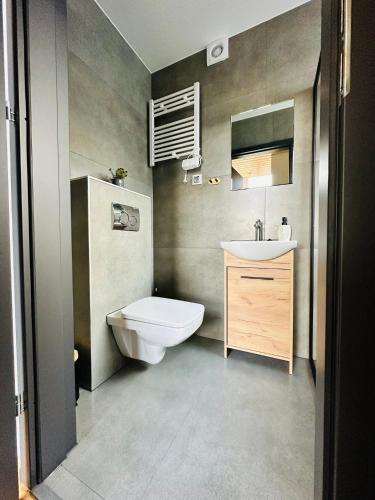 a bathroom with a toilet and a sink at Ostoja Drawno in Drawno