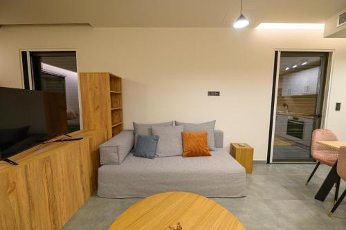a living room with a couch and a flat screen tv at Antinea Olympian Villa in Olympia
