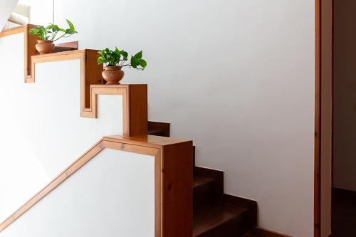 a set of stairs with potted plants on them at B&B Le foglie d'ulivo in Bari