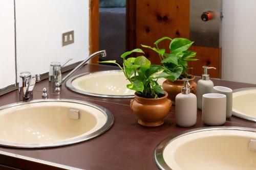 a bathroom counter with two sinks and a potted plant at B&B Le foglie d'ulivo in Bari