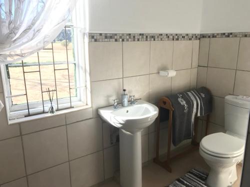 a bathroom with a sink and a toilet and a window at Kromrivier Farm Stays & B&B Near Addo Elephant Park in Paterson