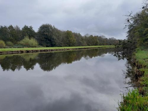 ein Fluss mit einer Reflexion von Bäumen im Wasser in der Unterkunft Les Granges in Corbigny