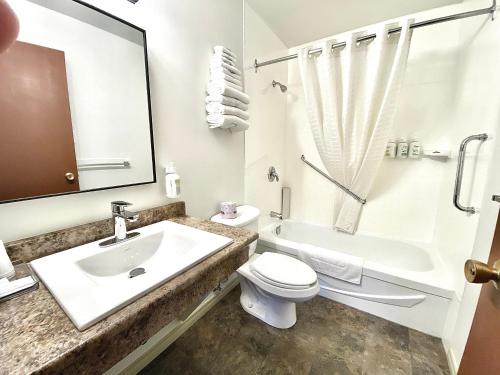 a bathroom with a sink and a toilet and a shower at Arbutus Grove Motel in Parksville