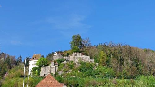 an old castle on a hill in the forest at Zimmer-B&B Restaurant Wirtshaus zur Trostburg in Teufenthal