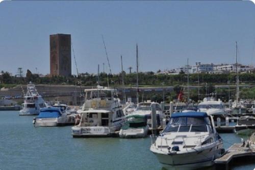 Um monte de barcos estão ancorados num porto. em Charmant appartement à Hassan em Rabat