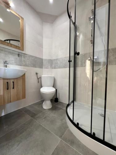 a bathroom with a shower and a toilet and a sink at Maks in Jastrzębia Góra