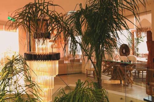 a room with a table and some potted plants at Regina Blu in Vlorë