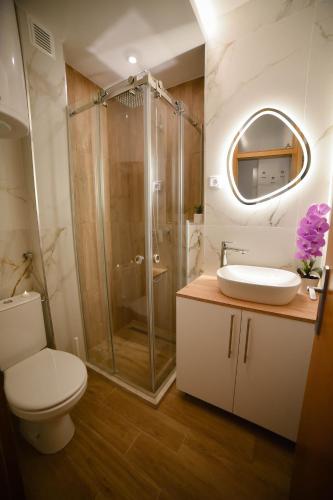 a bathroom with a shower and a toilet and a sink at Old Town Apartment in Užice