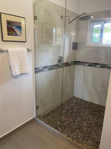 a shower with a glass door in a bathroom at 1A Casa Un Amor, Cerritos Beach Condo in San Carlos