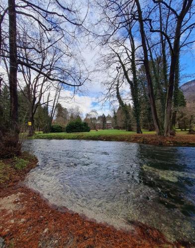 a body of water with trees on the side of it at Brvnara na obali reke Drine in Beserovina