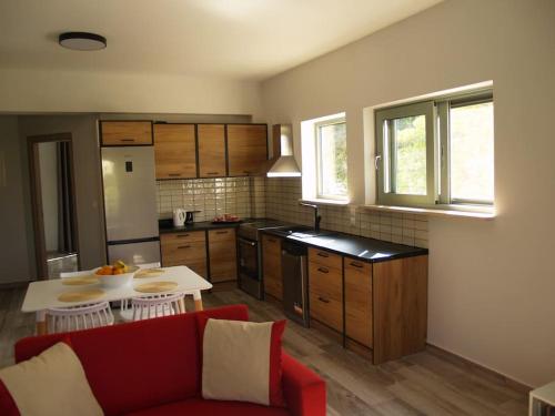 Casa Cimara في كيفالونيا: غرفة معيشة مع أريكة حمراء ومطبخ