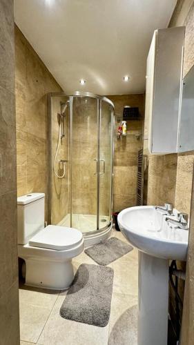 a bathroom with a shower and a toilet and a sink at Eastbury Road Home in Watford