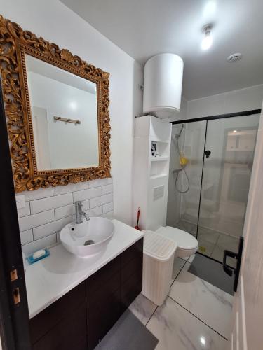 une salle de bain avec un lavabo, des toilettes et un miroir dans l'établissement Hypercentre Orléans Carmes, à Orléans