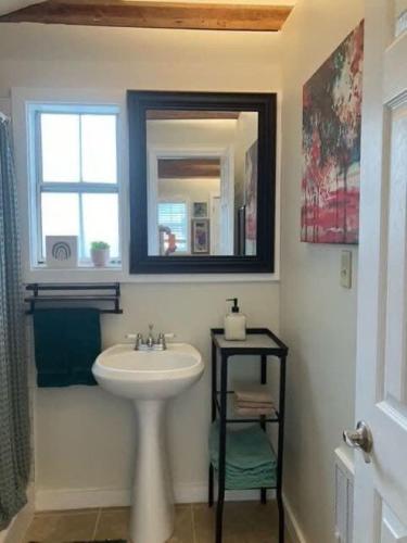 ein Bad mit einem Waschbecken und einem Spiegel in der Unterkunft Petite Cajun Cottage Tiny House in Lafayette